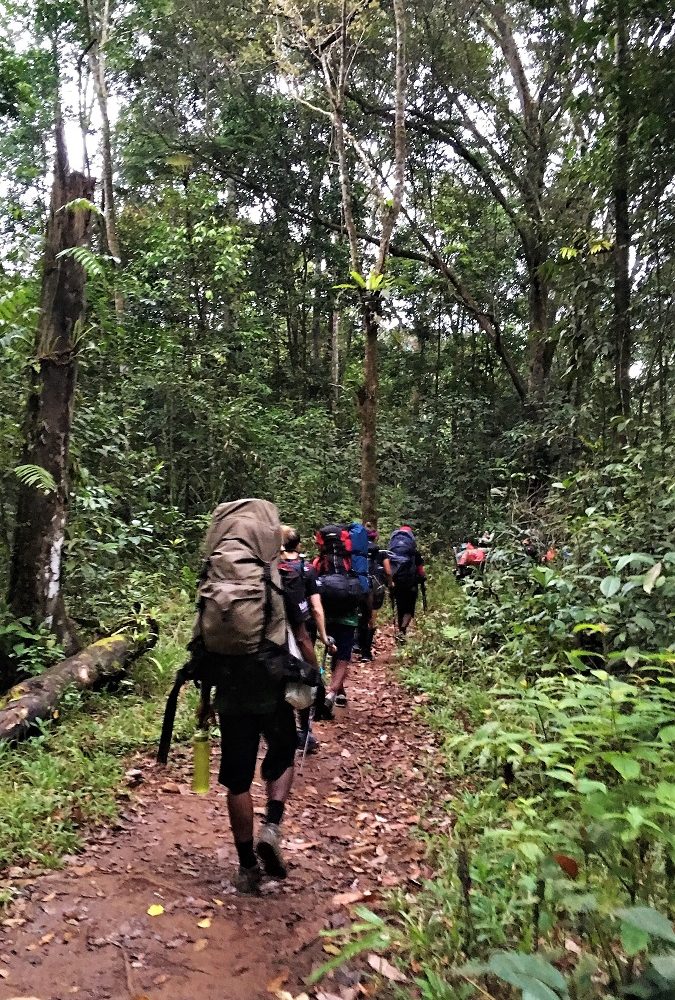 kokoda trail cost - advance native tours
