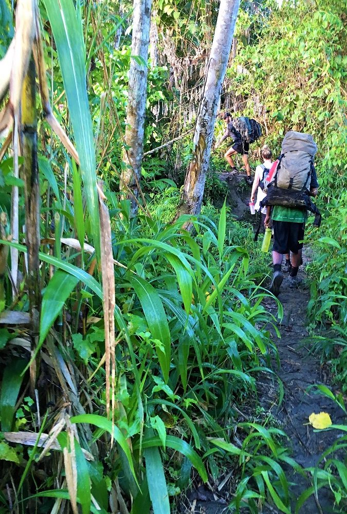kokoda trail papua new guinea - 10 day trek - advance native tours